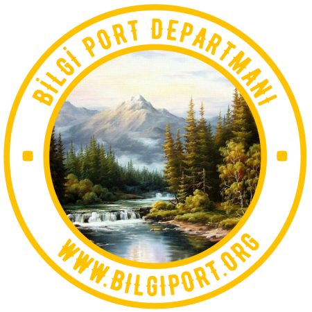 Bilgi Port